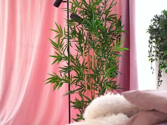 ArtTeasee's Thumb Image