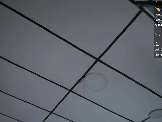 Gisell-Montoy Image 17