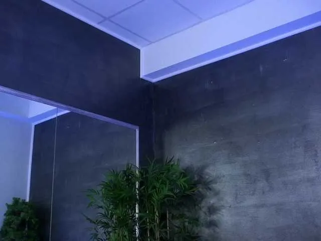 LovingBlondie Image 6