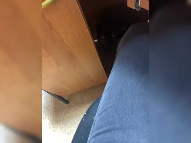 Molii-Molii35 live room