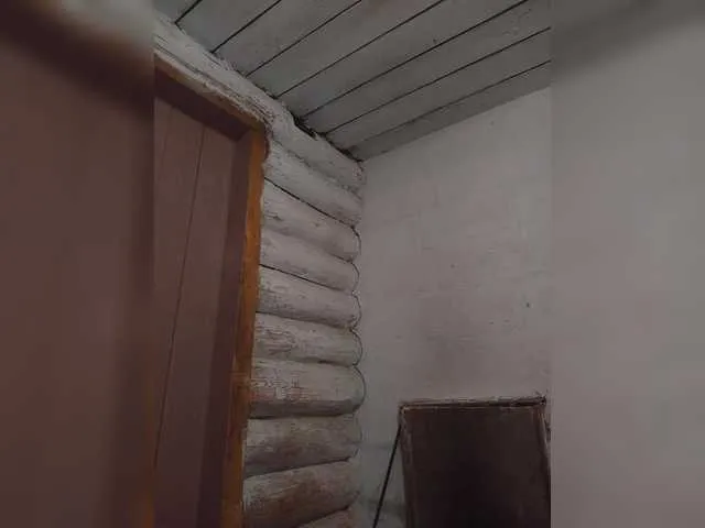 Mussypussy222 Image 4