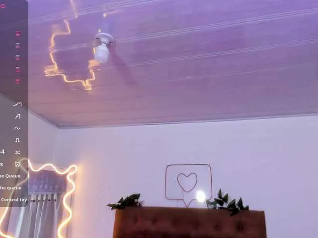 Palmerfox-tay Image 8