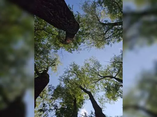 PeachGlowPH Image 11