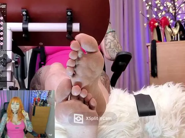 your-amazon4rever-wild Image 4